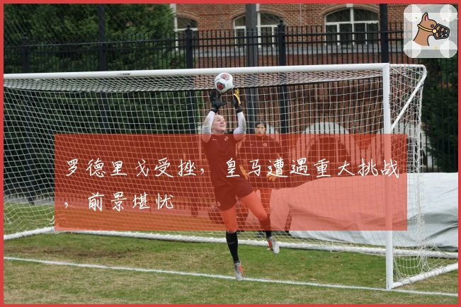 罗德里戈受挫，皇马遭遇重大挑战，前景堪忧